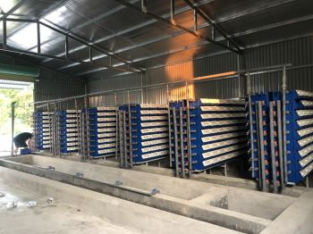 Mô hình độc đáo nuôi cua biển trong hộp nhựa cua xếp thành giàn, đánh số thứ tự