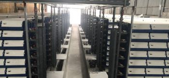 Độc đáo mô hình nuôi cua biển trong nhà phố | VTV24